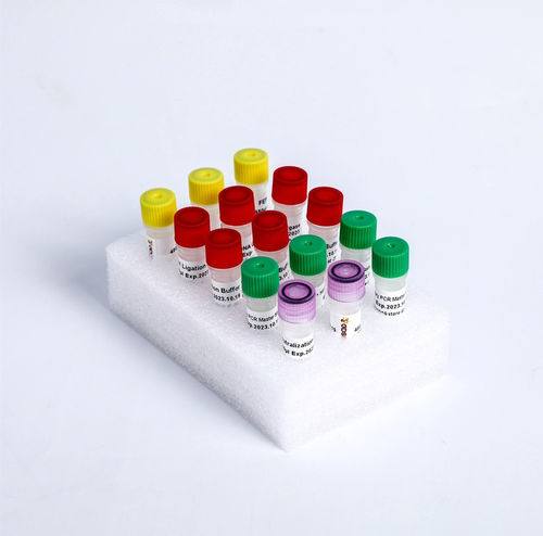 酶试剂套装 - K004-A - Guangzhou Dongsheng Biotech Co., Ltd. - DNA连接酶 / 染色 / NGS