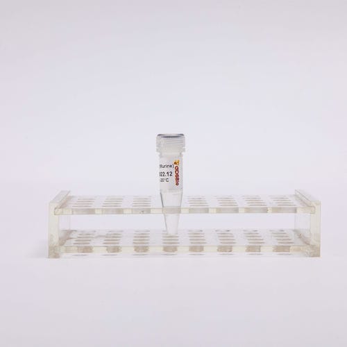 核糖核酸酶抑制剂试剂 - R4001 - Guangzhou Dongsheng Biotech Co., Ltd. - 酶 / 逆转录酶 / 核酸
