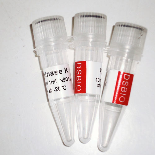 酶试剂 - N9012 - Guangzhou Dongsheng Biotech Co., Ltd. - 蛋白酶 / 蛋白酶K / 用于分子生物