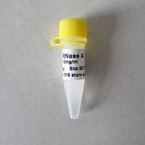 缓冲溶液试剂 - N9041 - Guangzhou Dongsheng Biotech Co., Ltd. - 酶 / 突变检测 / 蛋白质