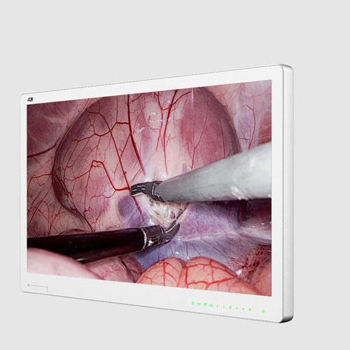 手术显示器 - Hikimaging - 医用 / 内窥镜 / 手术室