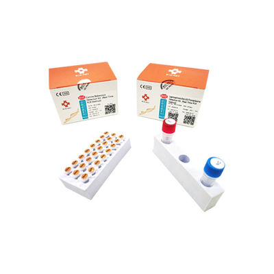 钩端螺旋体病快速诊断套装 - BIK-Q-P028 - Biokey Health - 用于犬类 / 刚地弓形虫 / 血液总量