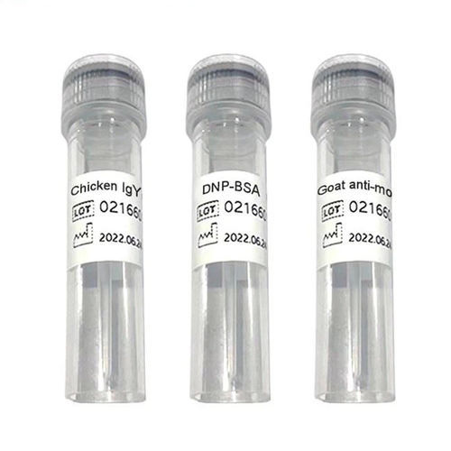 抗体试剂 - C-line - Chengdu Vacure Biotechnology Co., Ltd - 抗原 / 心脏 / IgG免疫球蛋白G