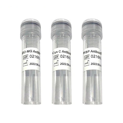 抗体试剂 - Ab1009 series - Chengdu Vacure Biotechnology Co., Ltd - 抗原 / 心脏 / 液体