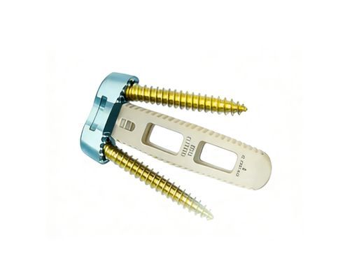 颈椎间融合器 - O-LIF - Chongqing FWS Medical Device - 前入路 / PEEK材质