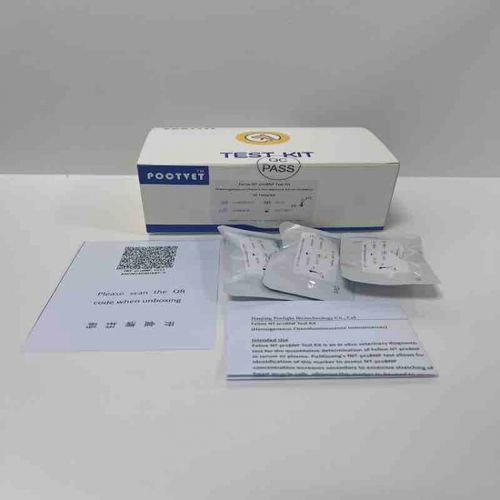 传染病快速诊断套装 - Poclight - 兽用 / 用于猫科动物 / NT-proBNP