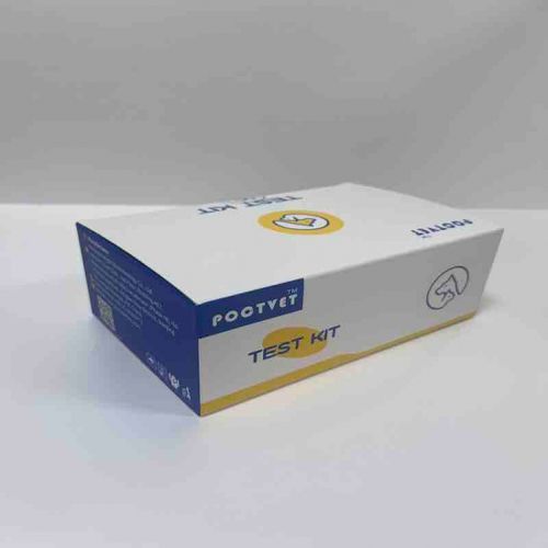 传染病快速诊断套装 - Poclight - 兽用 / 用于猫科动物 / 兽用