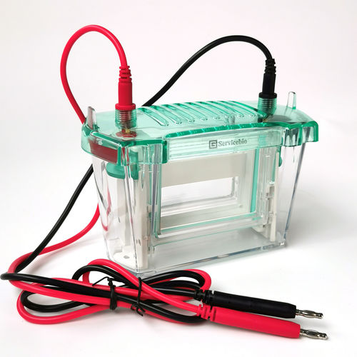 DNA电泳室 - SVE-2 - Servicebio - 用于蛋白质 / 立式