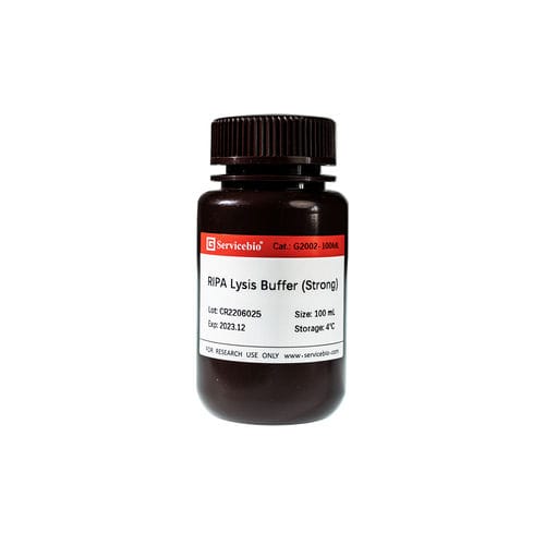 缓冲溶液试剂套装 - G2002-100ML - Servicebio - 蛋白质提取