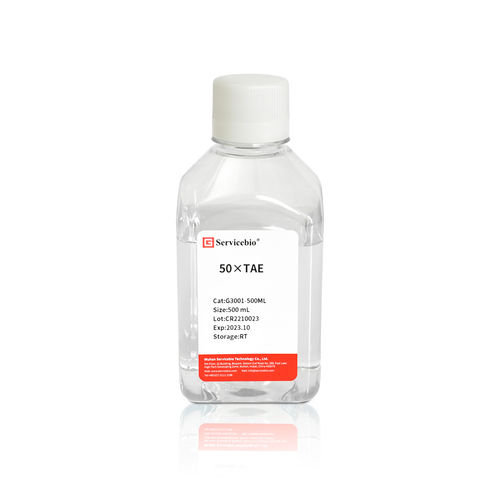 缓冲溶液试剂套装 - G3001-500ML - Servicebio - 电泳 / 液体