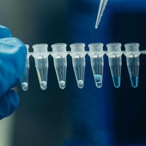逆转录酶试剂 - Applyo Jena GmbH - 基于磁珠 / RT-qPCR / 冻干