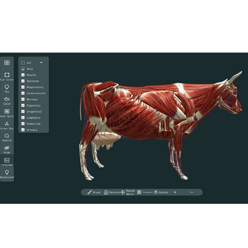 解剖学软件 - MeiWo Science - 3D 可视化