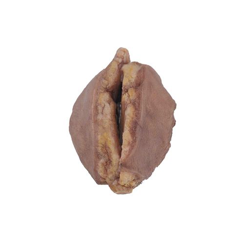 乳房解剖模型 - PS-002 - MeiWo Science - 教学 / 用于癌症 / 硅胶