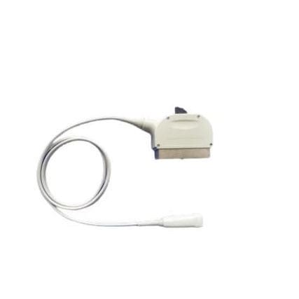 相控阵超声探头 - 5S  - Compatible Probes - 腹部 / 妇产科 / 小型结构