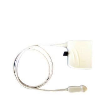 微凸超声探头 - C8-5 a - Compatible Probes - 腹部 / 血管 / 儿科
