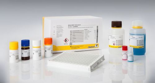 幽门螺旋杆菌快速诊断套装 - RIDASCREEN® - R-Biopharm AG - 胃肠疾病 / 实验室 / 粪便