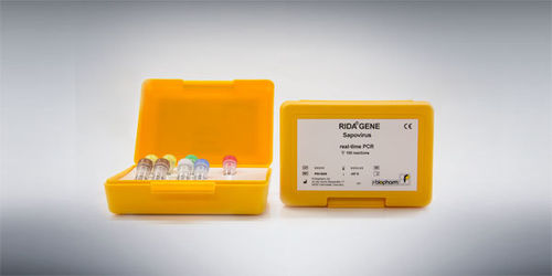 札幌病毒快速诊断套装 - RIDA®GENE - R-Biopharm AG - 胃肠疾病 / 铅 / 诺瓦克病毒