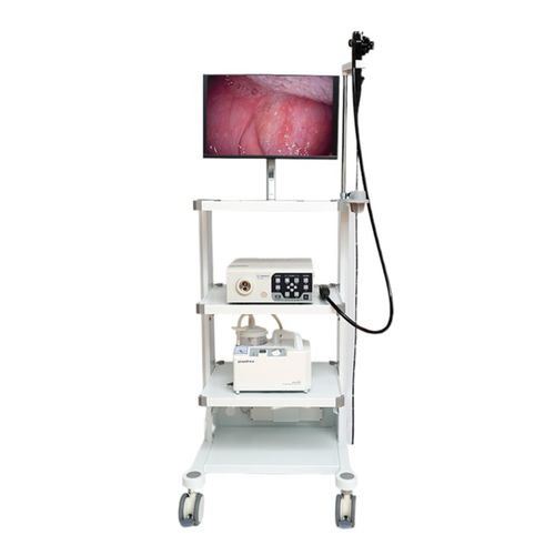 视频兽用胃镜 - VET-1508 - Gongjiang Endoscopy Instruments - 带视频显示器 / 带操作通道