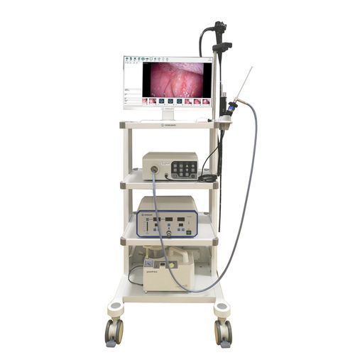 视频兽用腹腔镜 - VET-0305Y - Gongjiang Endoscopy Instruments - 带视频显示器 / 带操作通道