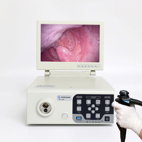 动物内窥镜视频处理器 - VET-300FM - Gongjiang Endoscopy Instruments - 带有记录仪 / 集成LED光源 / 高清成像
