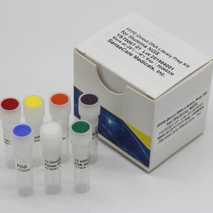 溶液试剂套装 - YST0188 series - Guilin Yourui Biotechnology Co., Ltd - NGS / DNA文库制备