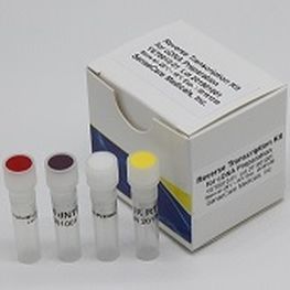 逆转录酶试剂套装 - YST0010 series - Guilin Yourui Biotechnology Co., Ltd - PCR