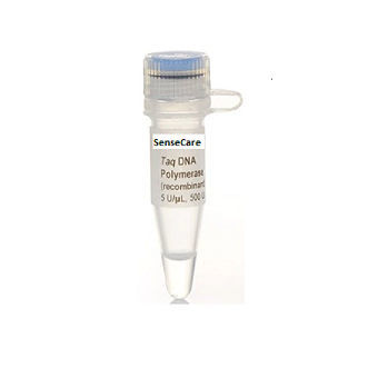 酶试剂 - YST0001 series - Guilin Yourui Biotechnology Co., Ltd - DNA聚合酶 / Taq-DNA聚合酶 / PCR