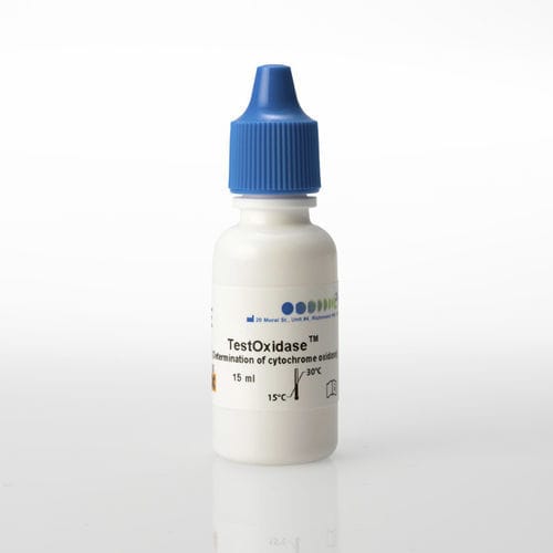 传染病快速诊断检测 - TestOxidase™ - PRO - LAB Diagnostics Ltd. - 细胞色素氧化酶 / 细菌