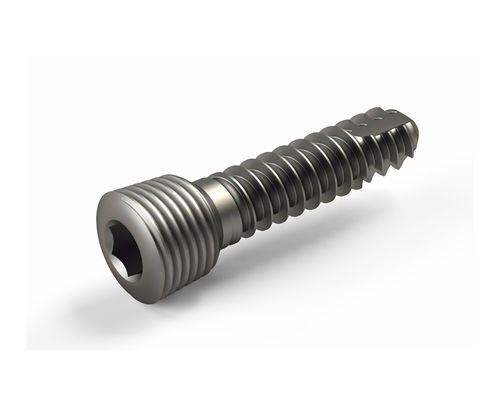 小骨碎片加压接骨螺钉 - 2T1-11813512 - Ases Orthopedics - 锁定