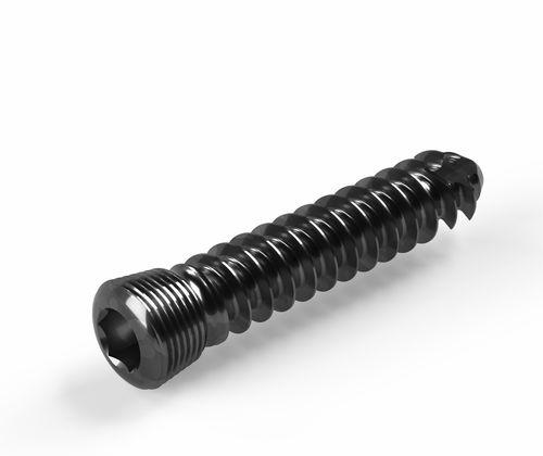 通用加压接骨螺钉 - 2T1-12014012 - Ases Orthopedics - 锁定 / 用于海绵体