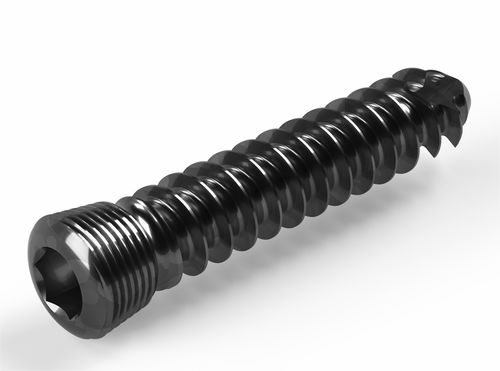 通用加压接骨螺钉 - 2T1-11616530 - Ases Orthopedics - 锁定 / 用于海绵体