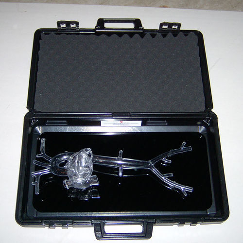 心脏解剖模型 - Sam - Lake Forest Anatomicals, Inc. - 用于插管 / 培训 / 塑料