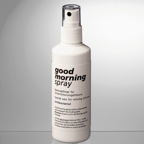 口腔卫生喷雾器 - 02284 - DETAX GmbH - 雾化器 / 手持式