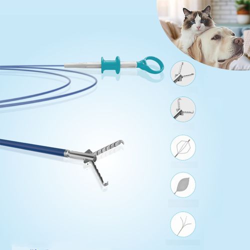 兽医钳 - JZ-A-2312-11&nbsp; - JZ Biotech - 清除异物 / 带齿