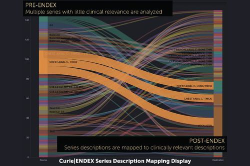 数据管理Web应用程序 - ENDEX™ - Enlitic - 数据分析 / DICOM可视化 / 报告