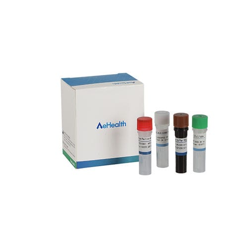疱疹快速诊断套装 - AEHEALTH - 风疹 / 用于病毒 / 猴痘