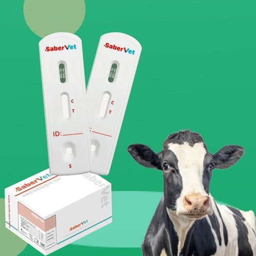 布鲁氏菌病快速诊断检测 - SaberVet BRU Ab - Hangzhou Antigenne Technology Co. Ltd - 兽用 / 牛 / 布鲁氏菌
