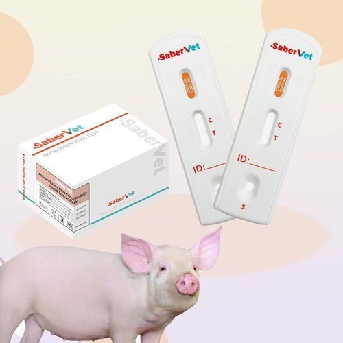 传染病快速诊断检测 - SaberVet CSFV Ab - Hangzhou Antigenne Technology Co. Ltd - 兽用 / 猪用 / 用于病毒