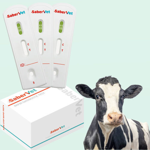 传染病快速诊断检测 - SaberVet IBR Ab - Hangzhou Antigenne Technology Co. Ltd - 兽用 / 牛 / 用于病毒
