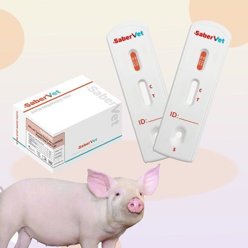 传染病快速诊断检测 - SaberVet PCV Ab - Hangzhou Antigenne Technology Co. Ltd - 兽用 / 猪用 / 猪圆环病毒