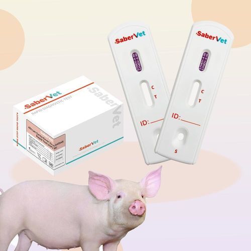 传染病快速诊断检测 - SaberVet S.FMDV-A - Hangzhou Antigenne Technology Co. Ltd - 兽用 / 猪用 / 用于病毒