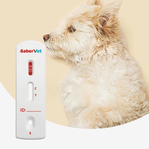 传染病快速诊断检测 - SaberVet CDV Ab - Hangzhou Antigenne Technology Co. Ltd - 兽用 / 用于犬类 / 用于病毒