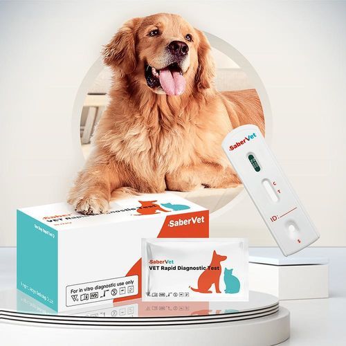传染病快速诊断检测 - Sabervet CCV Ag - Hangzhou Antigenne Technology Co. Ltd - 兽用 / 犬类 / 抗原