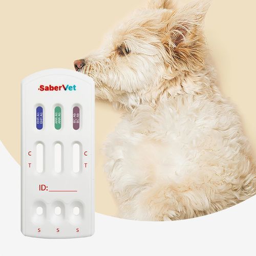 传染病快速诊断检测 - Sabervet EHR/ANA/BC Ab  - Hangzhou Antigenne Technology Co. Ltd - 兽用 / 用于犬类 / 埃利希氏体
