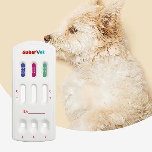 传染病快速诊断检测 - Sabervet EHR/BG/ANA Ab - Hangzhou Antigenne Technology Co. Ltd - 兽用 / 用于犬类 / 埃利希氏体