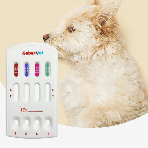 传染病快速诊断检测 - SaberVet CHW Ag/EHR/BG/ANA Ab - Hangzhou Antigenne Technology Co. Ltd - 兽用 / 用于犬类 / 埃利希氏体