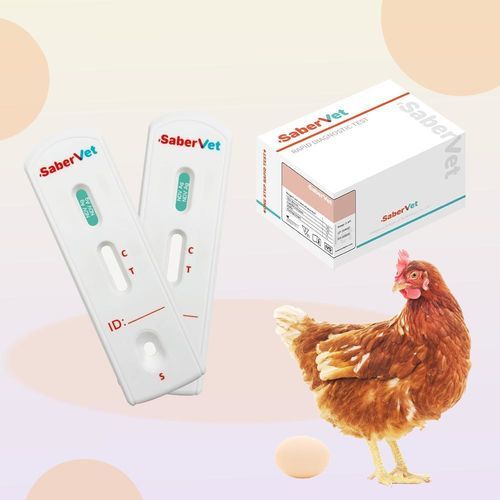 传染病快速诊断检测 - SaberVet NDV Ag - Hangzhou Antigenne Technology Co. Ltd - 兽用 / 禽类 / 用于病毒