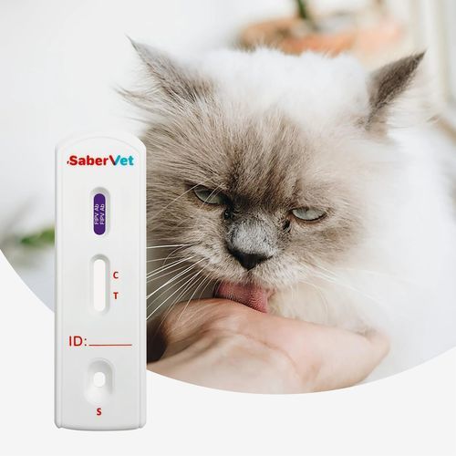 传染病快速诊断检测 - SaberVet FIPV Ab - Hangzhou Antigenne Technology Co. Ltd - 兽用 / 用于猫 / 抗体