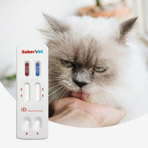 衣原体快速诊断检测 - SaberVet FHV/FCV Ag - Hangzhou Antigenne Technology Co. Ltd - 兽用 / 用于猫科动物 / 支气管败血波氏菌