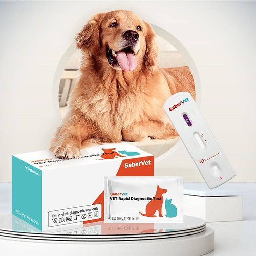 传染病快速诊断检测 - Sabervet CPL - Hangzhou Antigenne Technology Co. Ltd - 兽用 / 用于犬类 / 脂肪酶